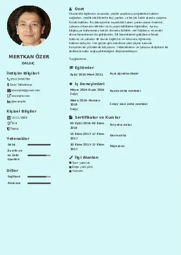 Dalgıç CV Örnekleri cv indir